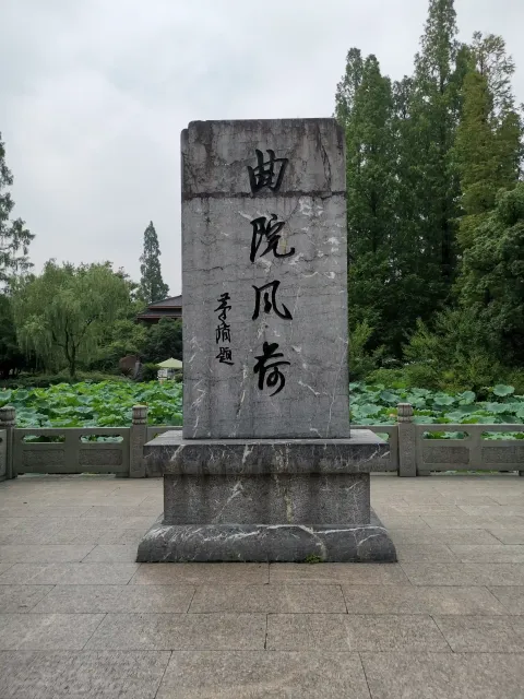 曲院风荷1
