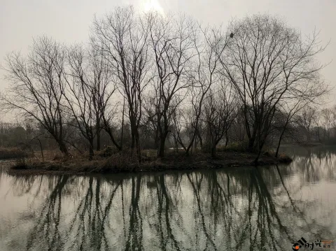 西溪国家湿地公园