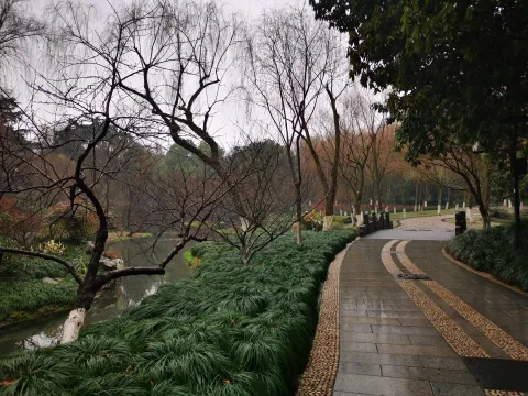 柳浪闻莺33