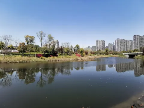 不一样的小河景致