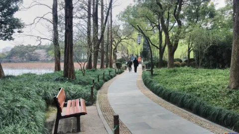 曲院风荷