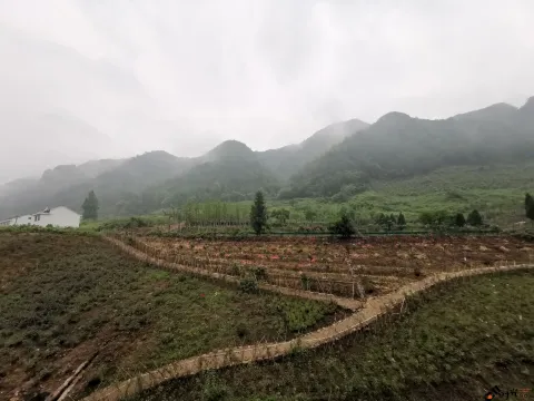 浦江茜溪悠谷