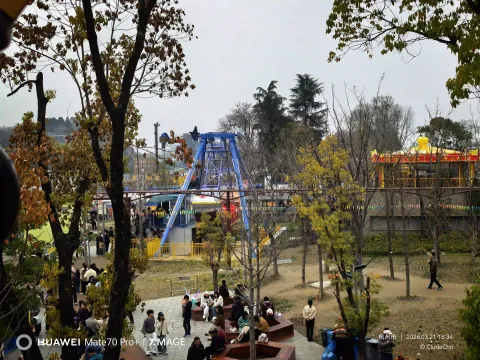 热闹非凡的杭钢公园城北青少年宫5