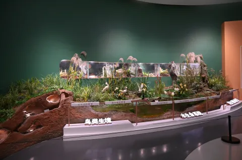 扬州大运河博物馆14
