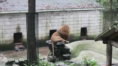 杭州动物园