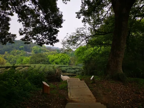 五云山1