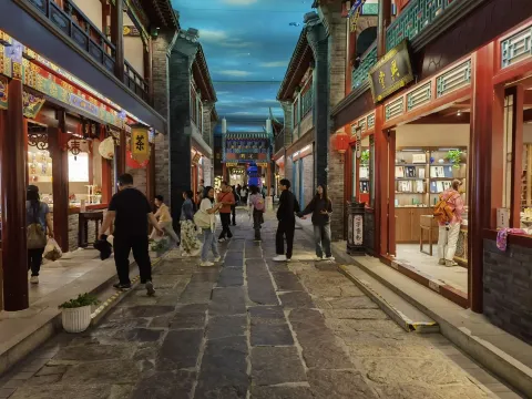 大运河街肆印象10