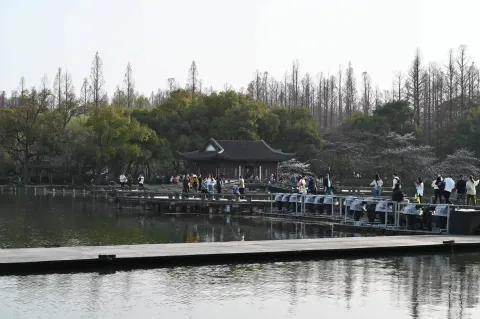曲院风荷岳湖4