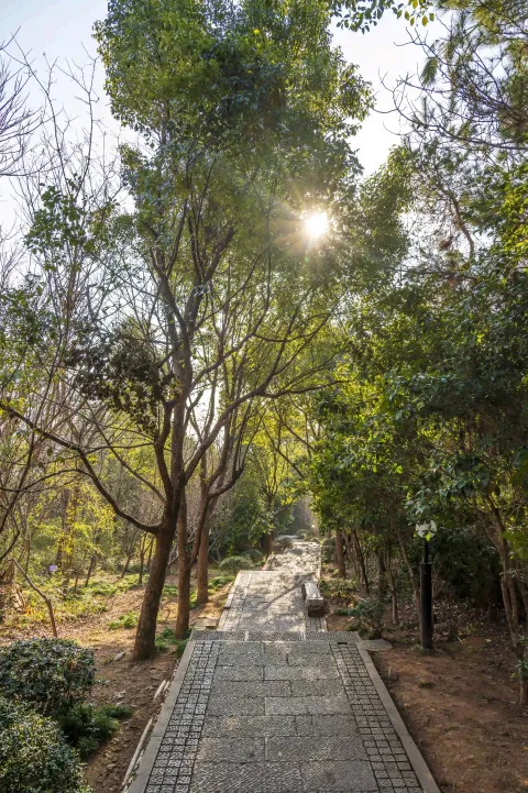仁皇山爬山走道13