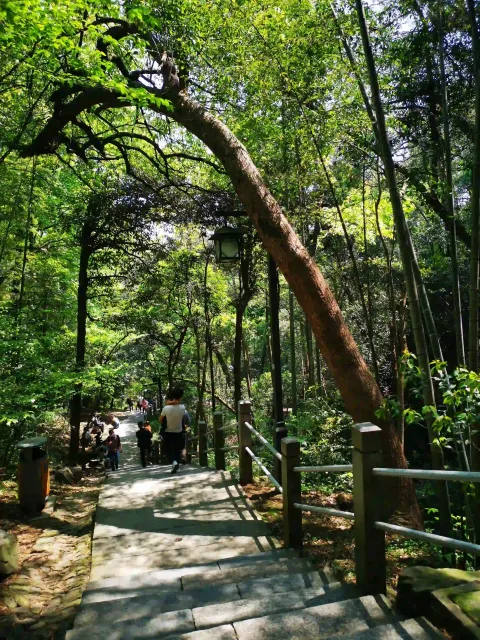 攀爬北高峰4