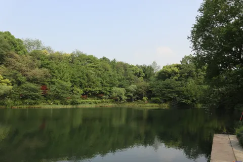 乌龟谭
