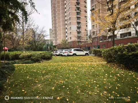 小区里的秋章5