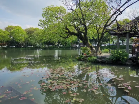 小瀛洲30