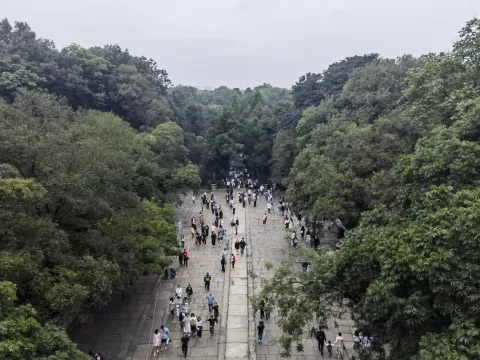 明孝陵12
