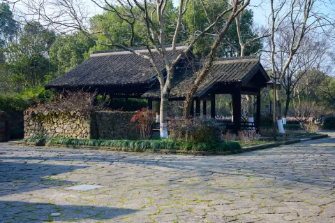 西溪湿地 周家村5