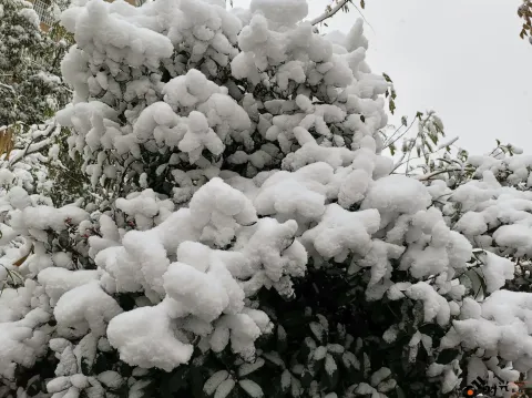 2018年的尾巴尽然下了一场不小的雪