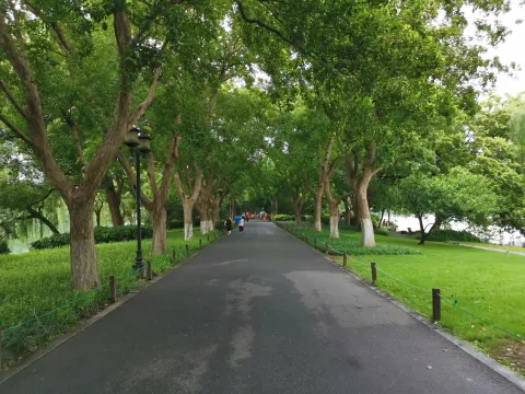 苏堤11
