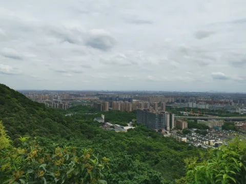 半山国家森林公园4