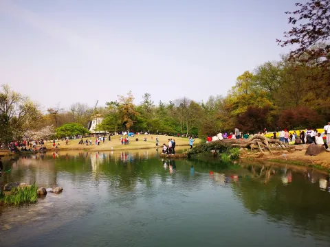 太子湾踏春43