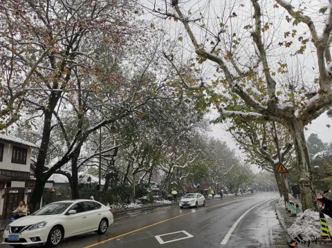 皑皑白雪挂满枝头