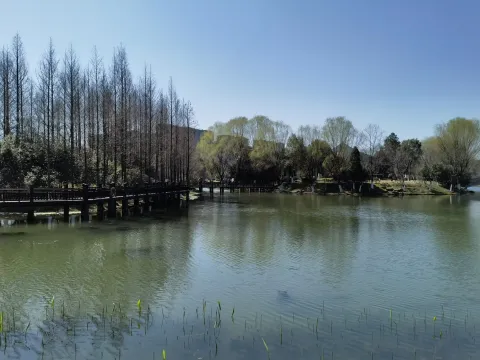 千桃园4