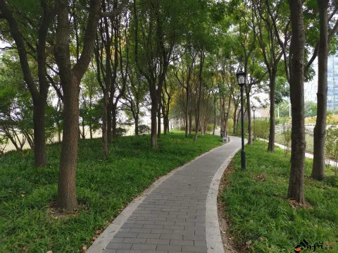 钱江南岸步行道