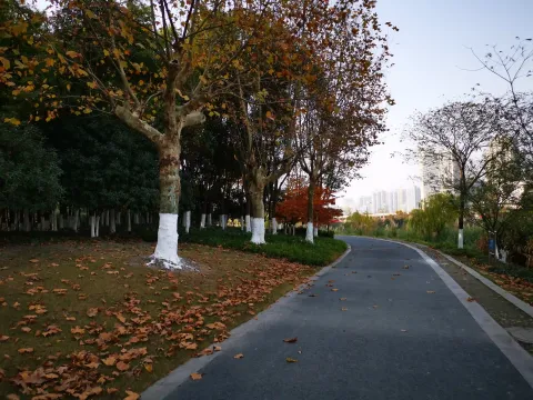 萧山北塘公园秋季的风景