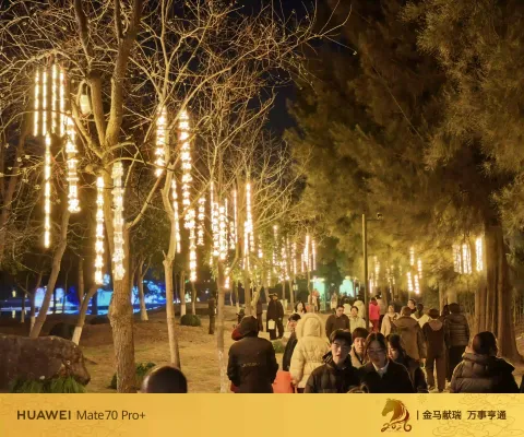 玉环漩门湾农业观光园灯会13