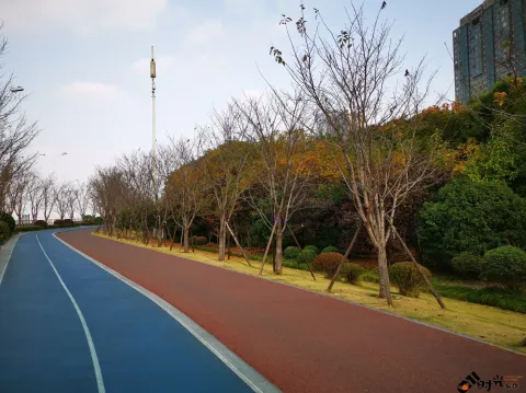 钱江南岸