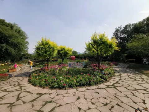 西溪花朝节