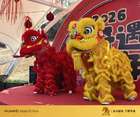 春节游玩铁定溜溜4