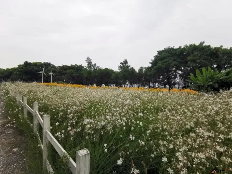 左岸·万国花园