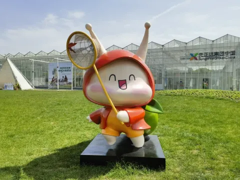 田园牧歌11