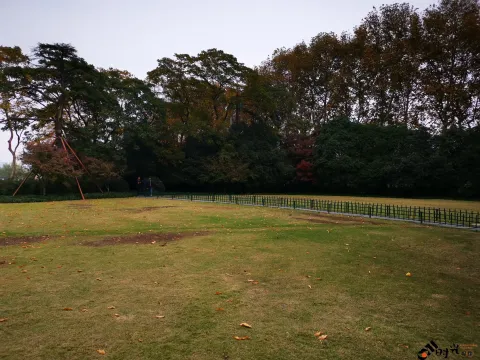 西湖，孤山上的大草坪