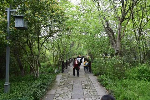 杭州西溪湿地4