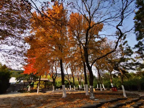 萧山北塘公园秋季的风景