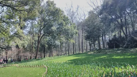 太子湾公园述
