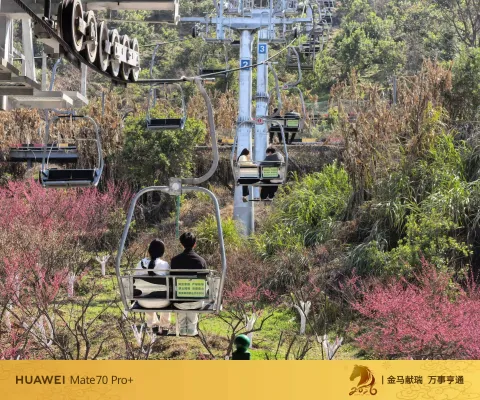 春节游玩铁定溜溜5