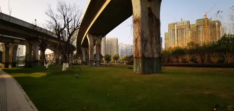 西兴大桥高6