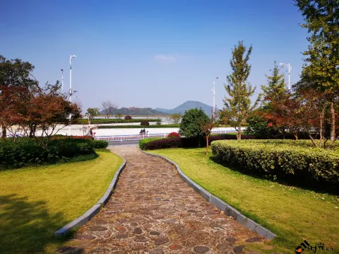 钱塘江大桥南岸的公园景色