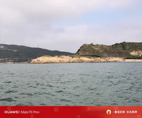 体验坐渔船出海捕捞‌11