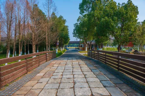 长田漾湿地公园5