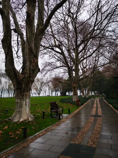 柳浪闻莺5