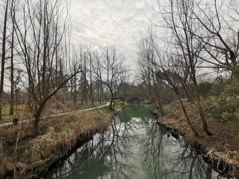 西溪国家湿地公园