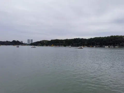 玄武湖4