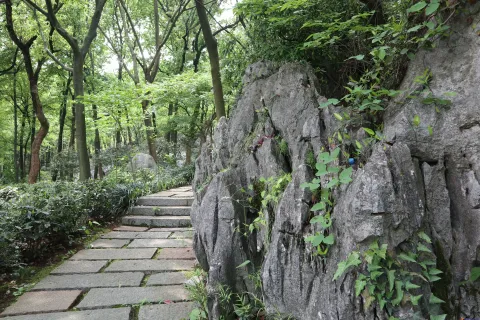 中国茶叶博物馆龙井馆区