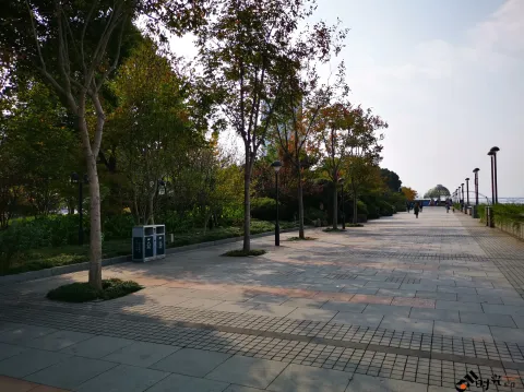 钱江南岸