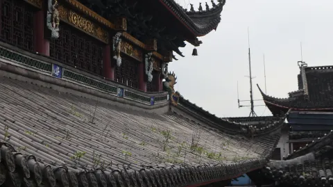 福星观5
