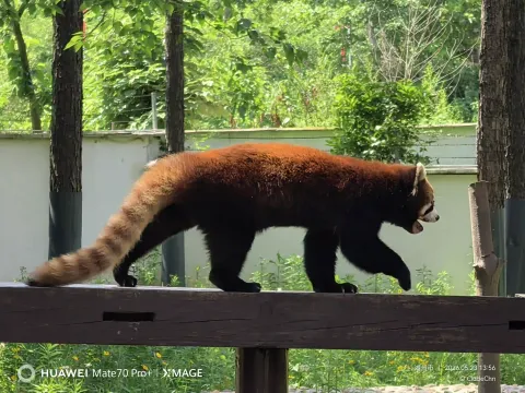安吉中国竹子博览园10