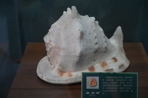 中国渔业博物馆8